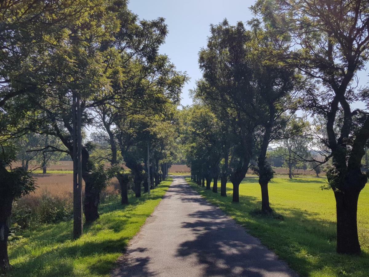 Palac Lawica- Splywy Przelomem Bardzkim Klodzko Bagian luar foto